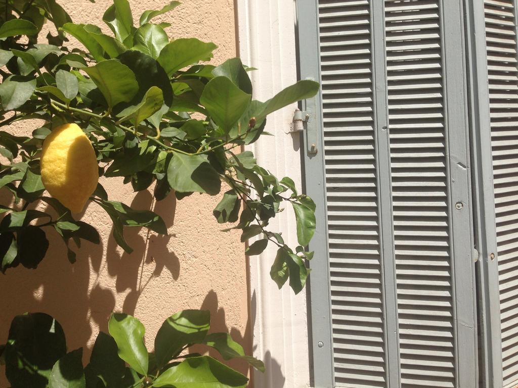Chanteclair Cannes Exteriér fotografie