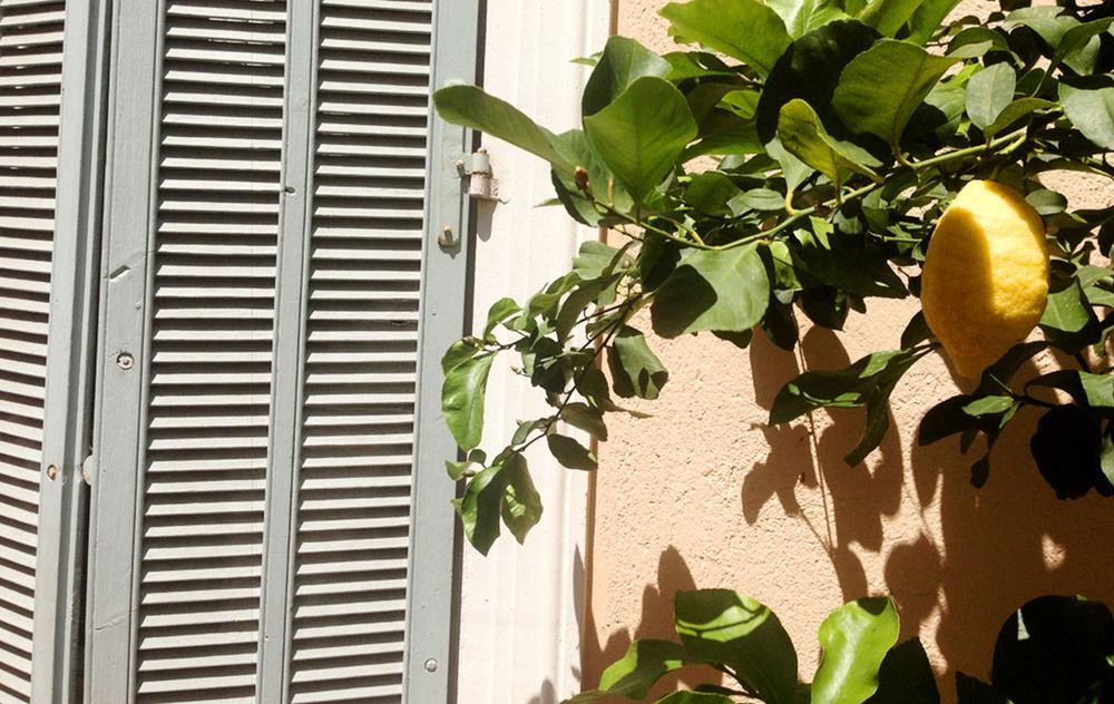 Chanteclair Cannes Exteriér fotografie